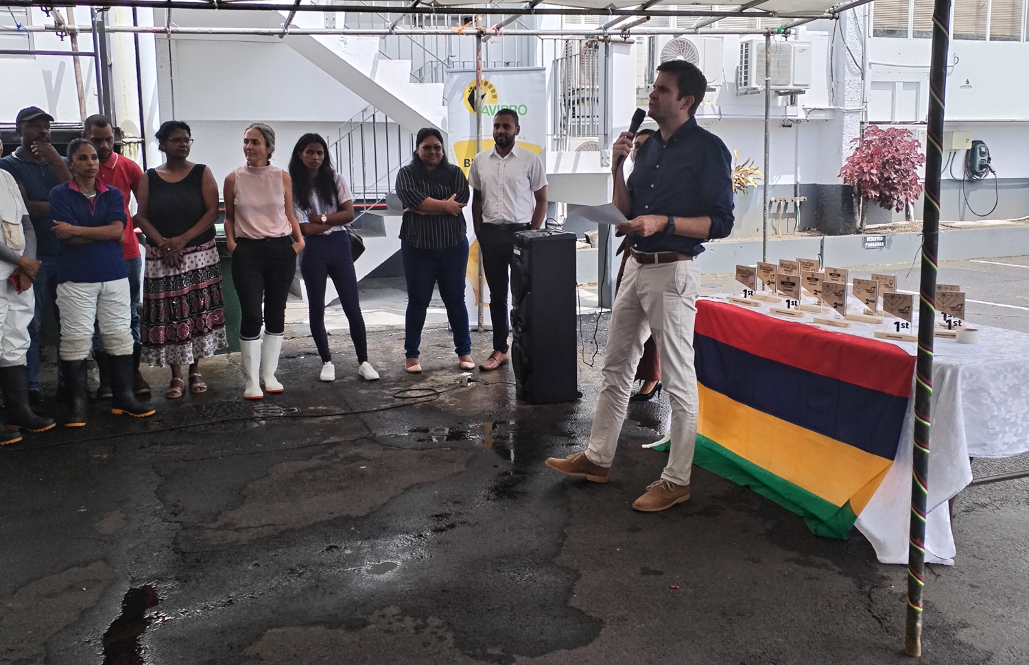 Independance-Processing1